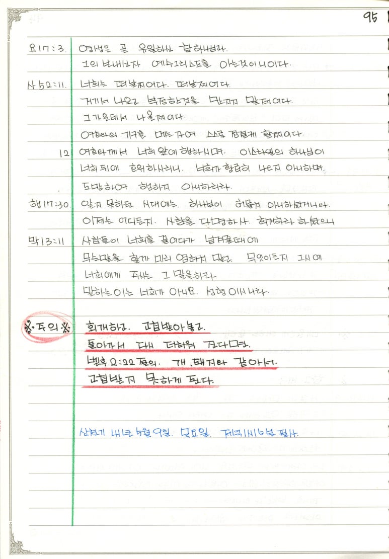 성일양만 이미지
