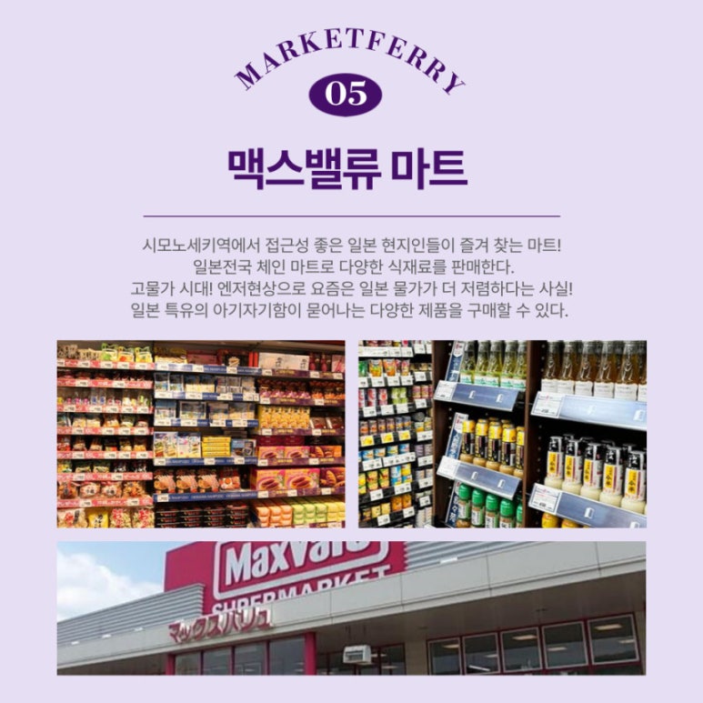 신신투어 이미지