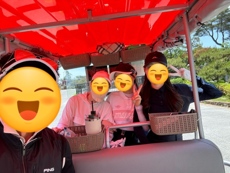 타이거골프 이미지