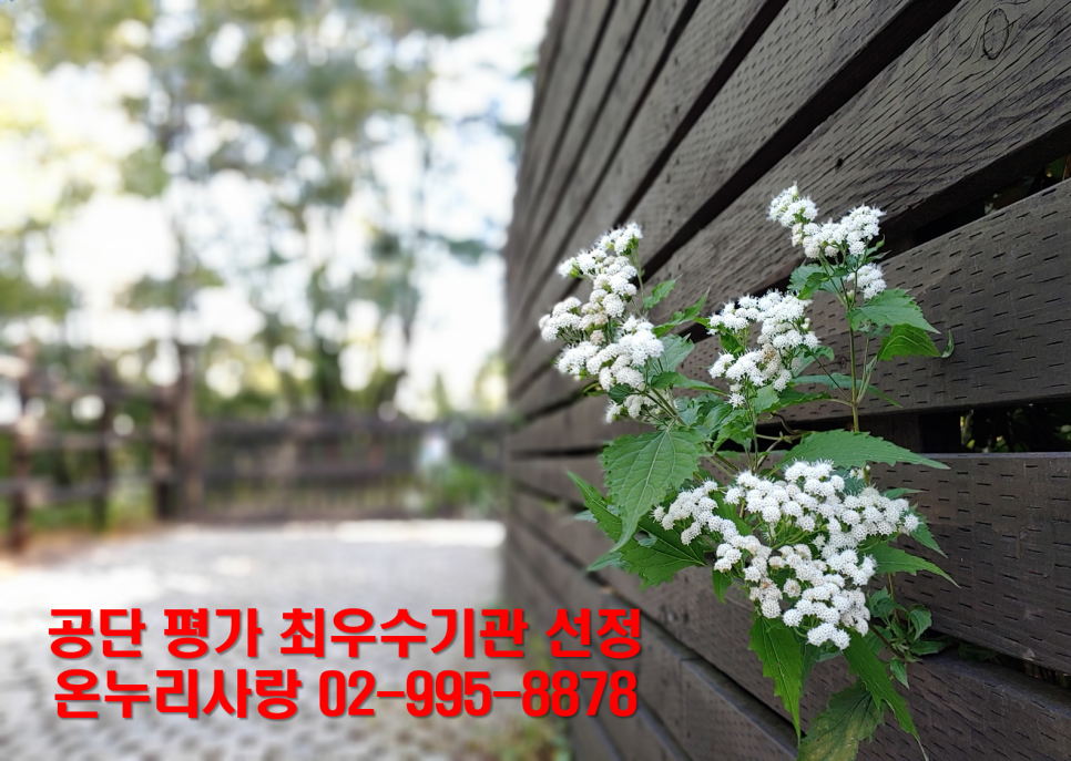 사랑돌봄재가복지센터.복지용구 이미지