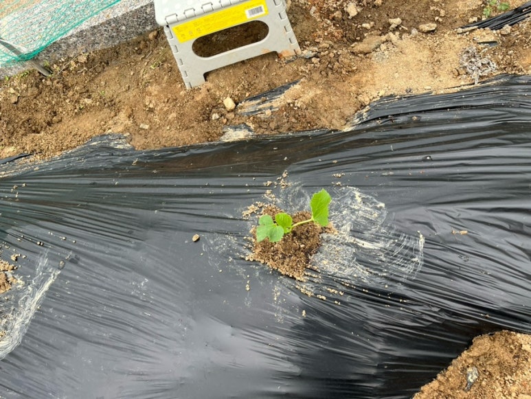 해성꽃농원 이미지