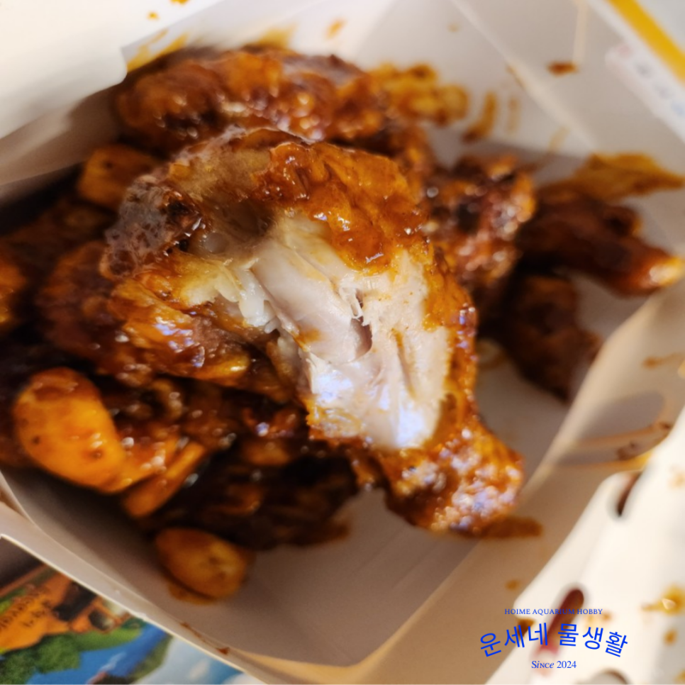 비에이치씨신정점(bhc신정점) 이미지