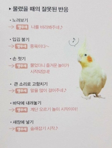 짱구인력 이미지