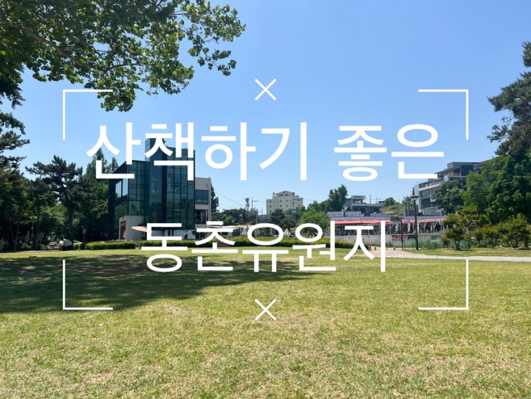 동촌유원지 유기장 이미지