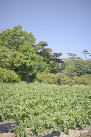 밤소리관광농원 이미지