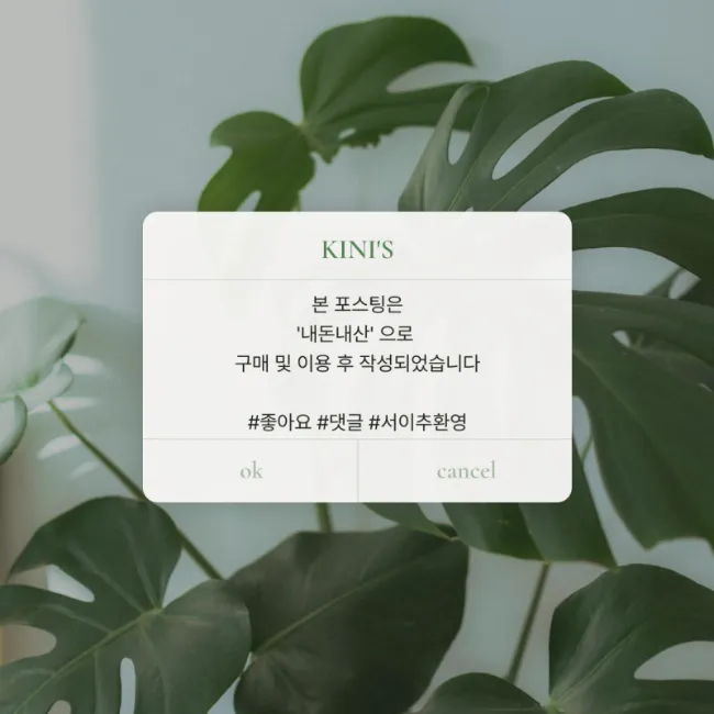 종로얼큰이 이미지