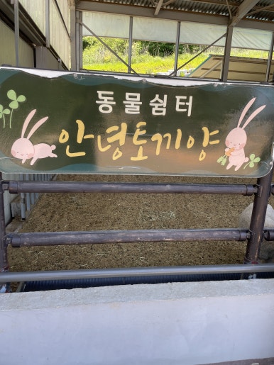 대순이네 이미지