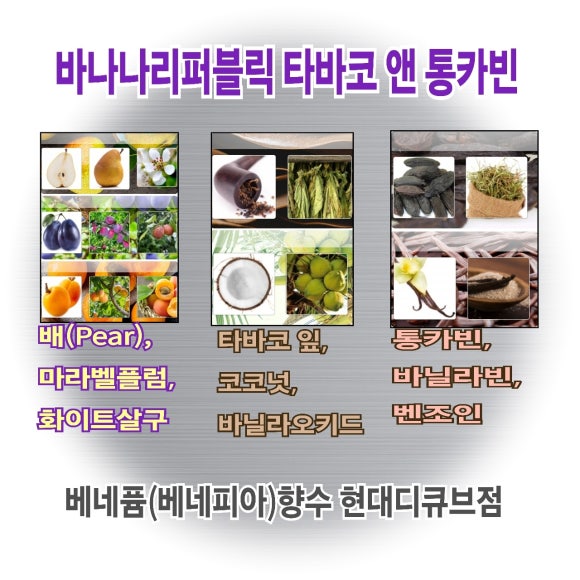 통카 이미지