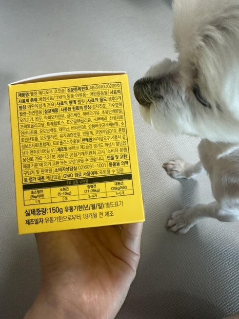 앙제코코 이미지