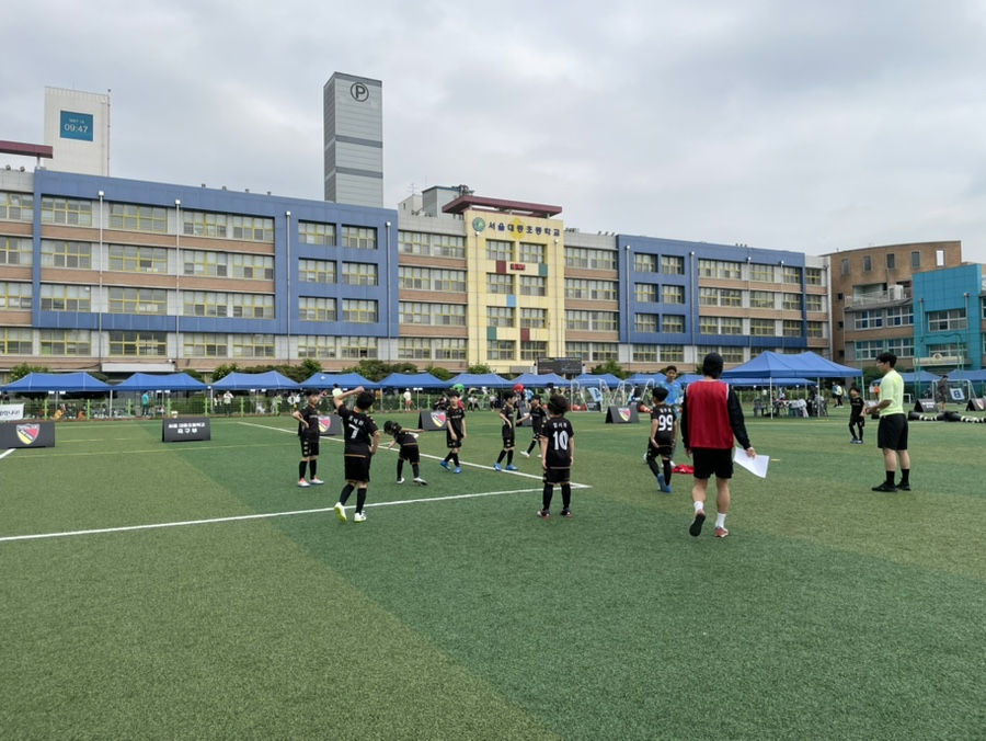 마포키즈아레나FC 이미지