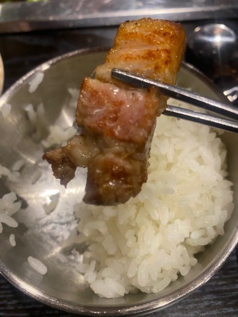 돼지꿈꾸는집 이미지