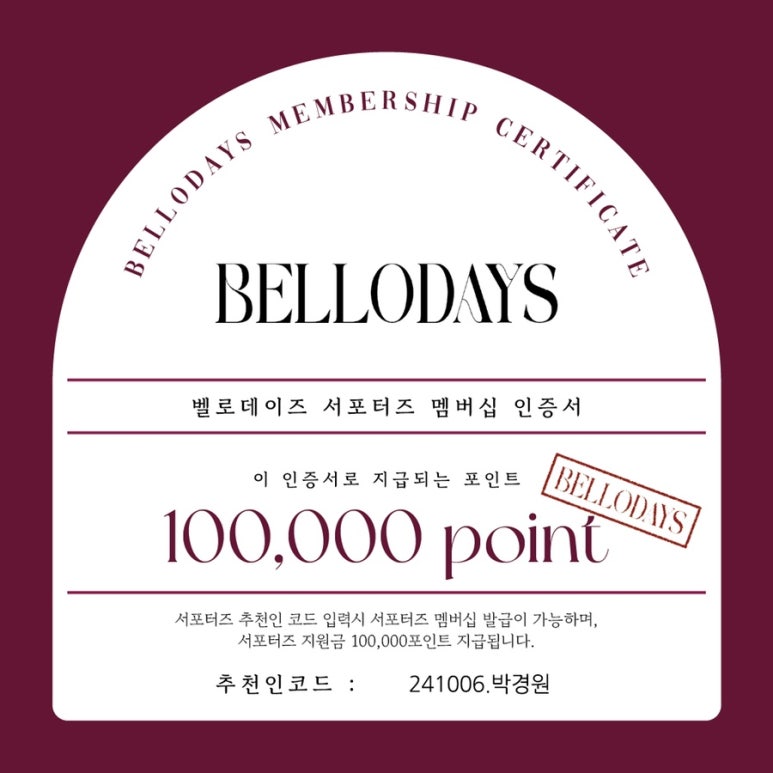 데이즈스냅 이미지