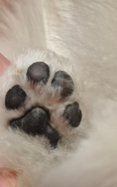 개편한까페 이미지