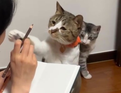 커피카소 이미지