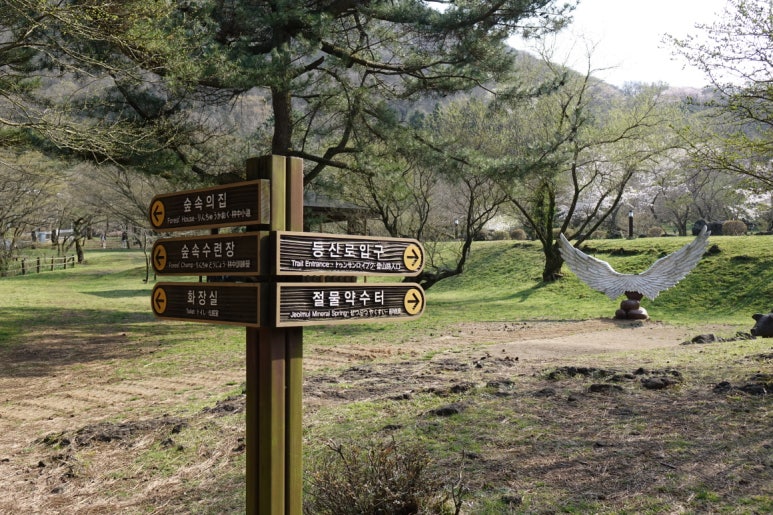둥근돌야영장 이미지