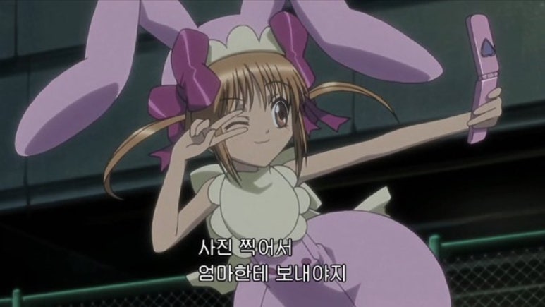 라베 이미지