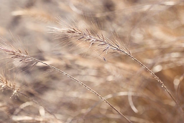 타코다방 사진 4
