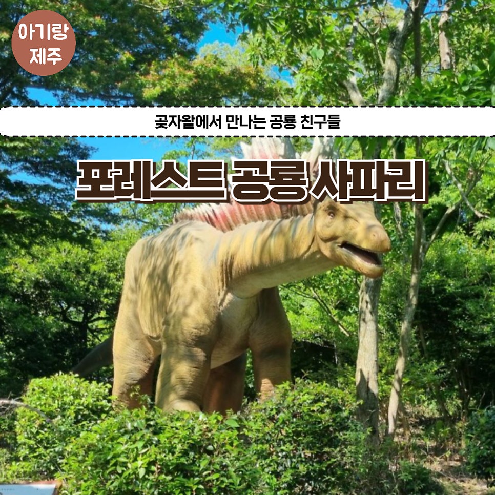 사파리쉼터 이미지