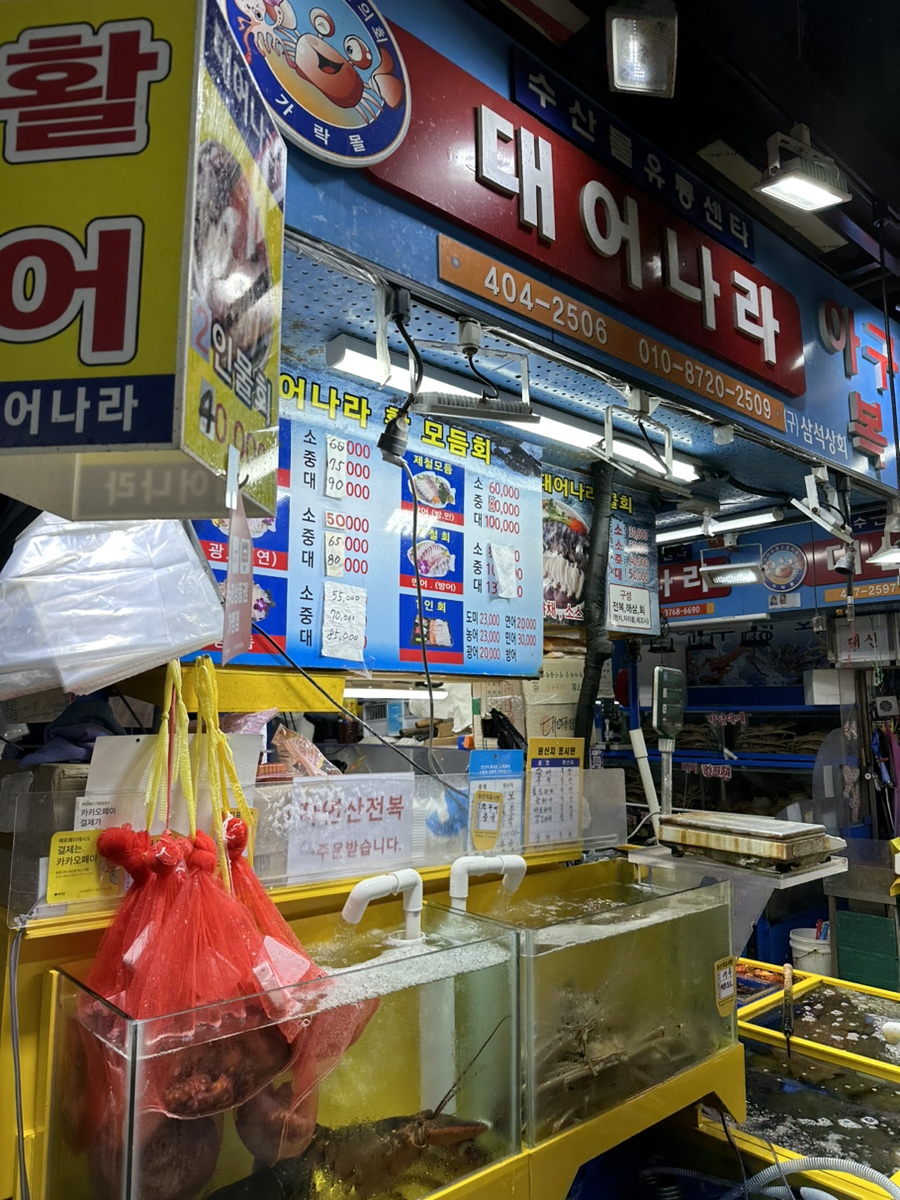 대어나라 이미지