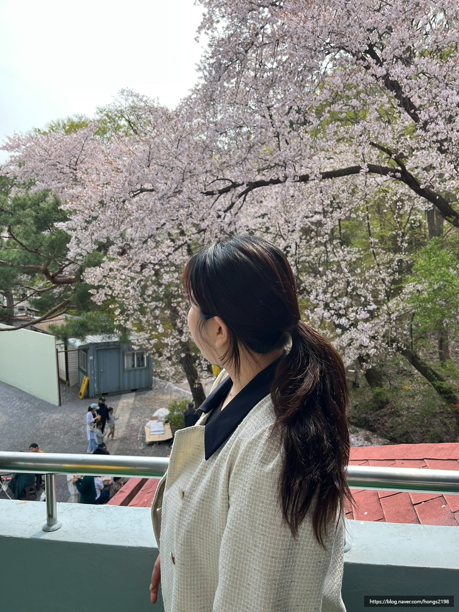 요기 서네일 이미지