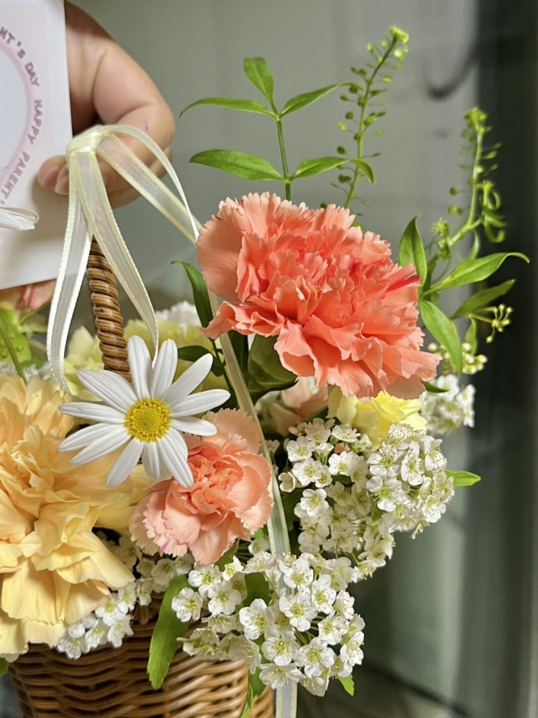 플레르드레브 이미지