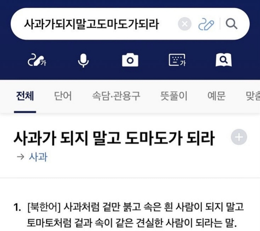 도마도마도 이미지