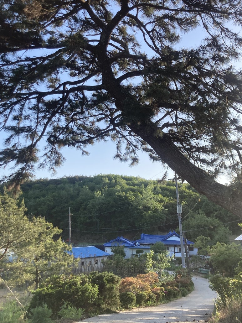 푸르미르 관광농원 이미지