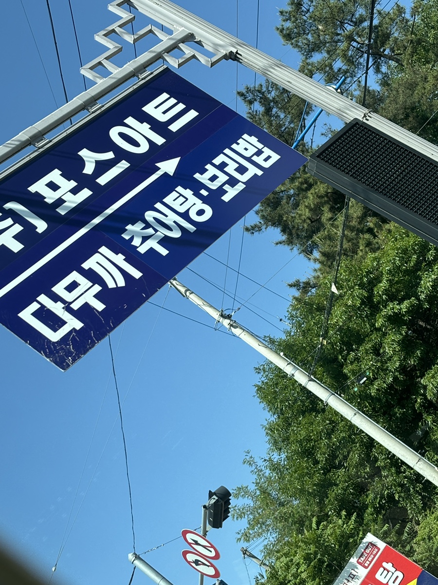 다무까 이미지