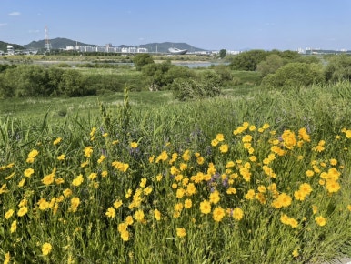 바이크X텐트 이미지