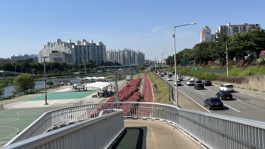 장일샐프타운 이미지