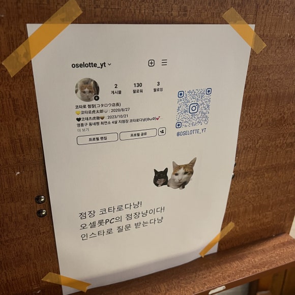 오셀롯PC영통 이미지