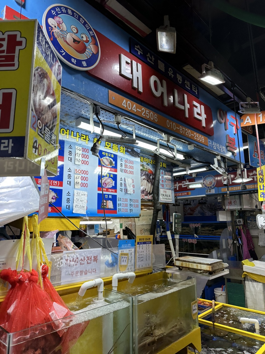 대어나라 이미지
