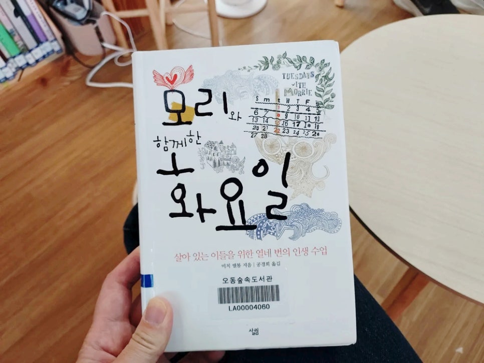 봄숲속모리 이미지