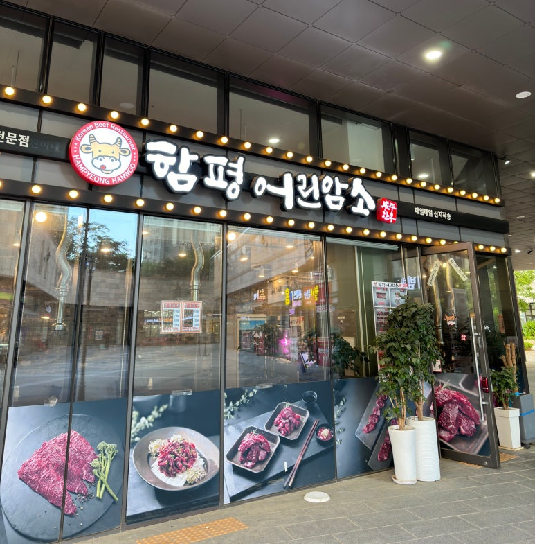 함평어린암소 이미지