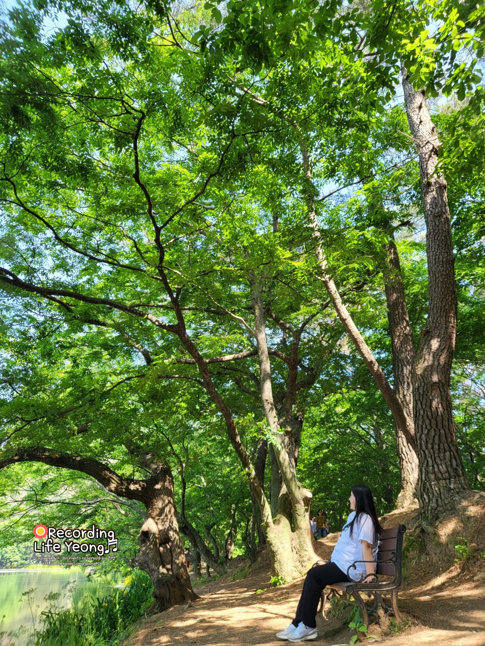 카페다보소 이미지