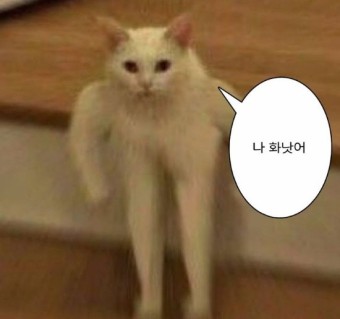 피렌체투어 이미지