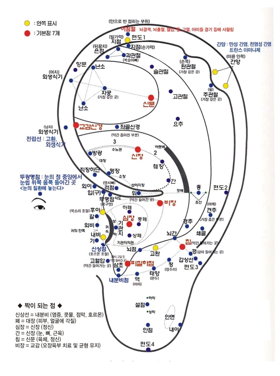 국제이침협회 이미지