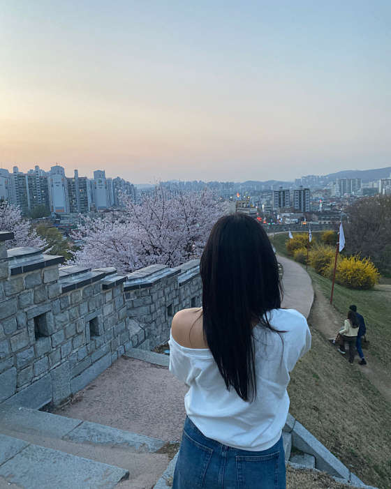 아오브 이미지