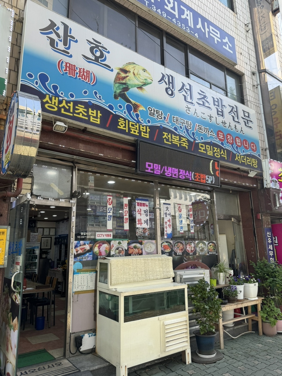 산호초밥 이미지