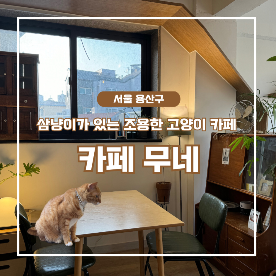 MUNE(무네) 이미지