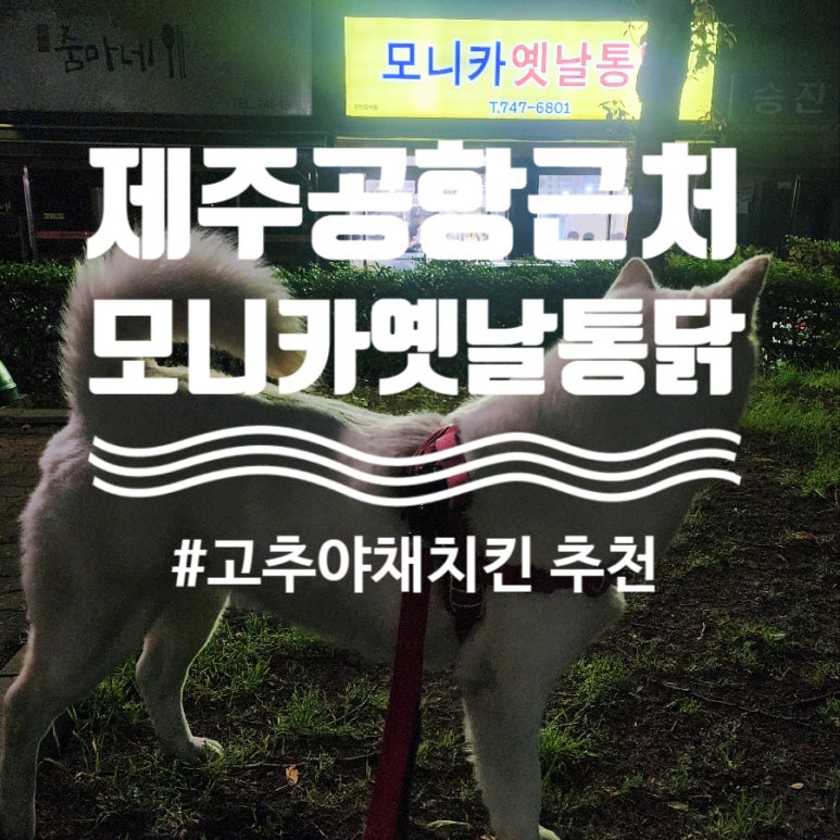 도민야채 이미지