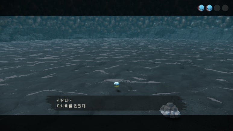 피오네 이미지