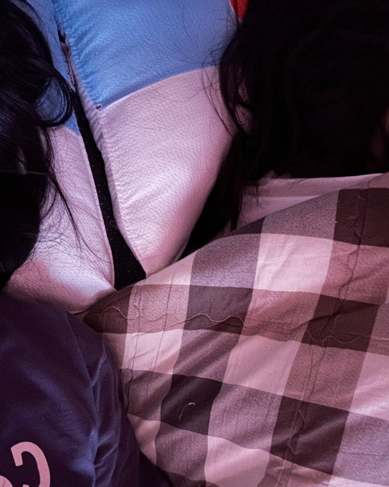 동강오리알 이미지