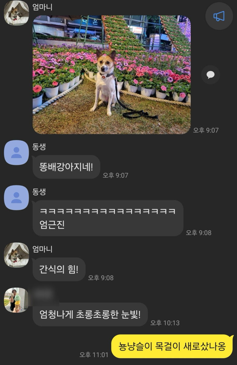 서윤슬 이미지