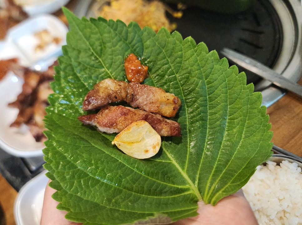 여유돼지부자돼소 이미지