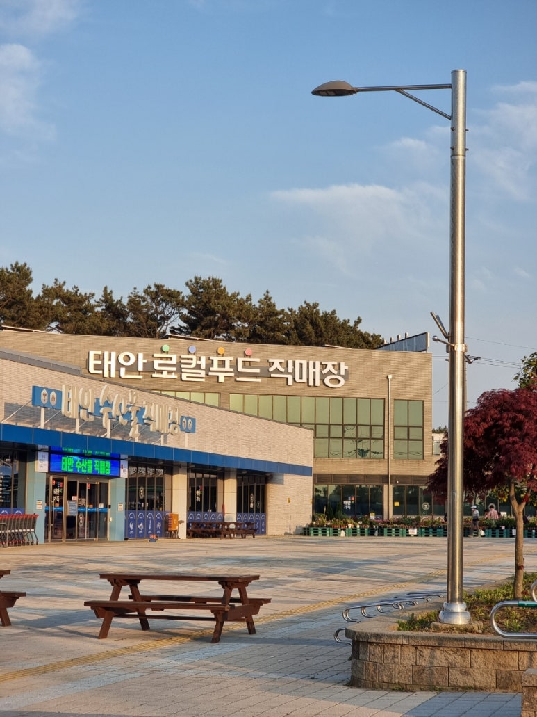 태안농협 로컬푸드직매장 이미지