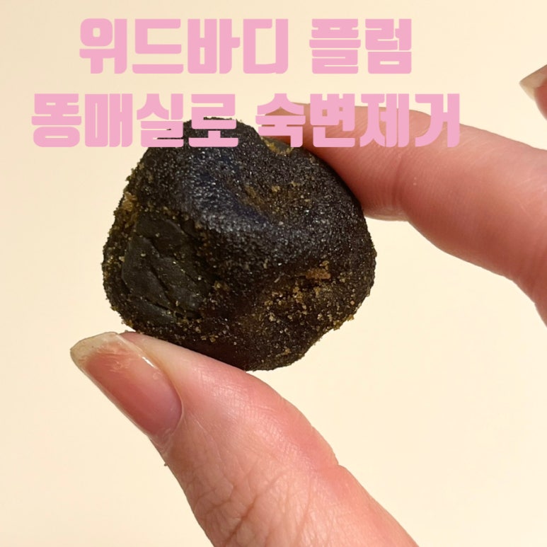 위드플럼 이미지