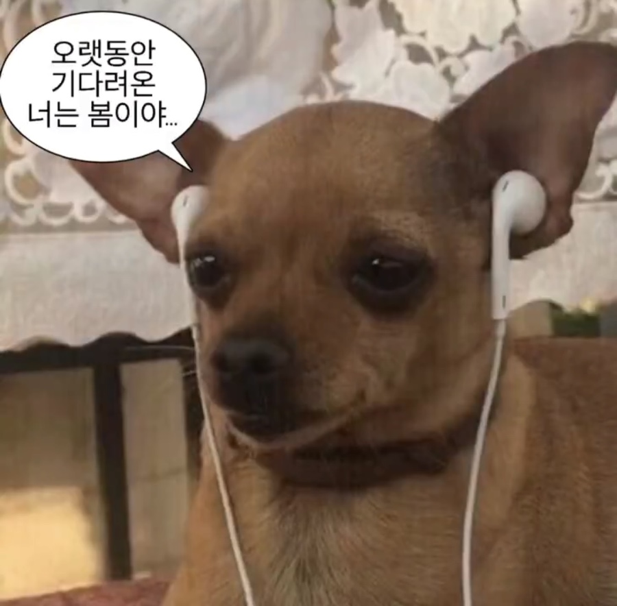 넛시드커피 이미지