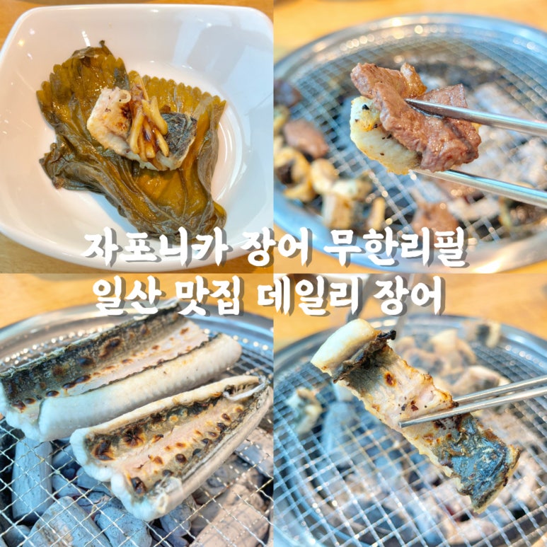 데일리장어 이미지