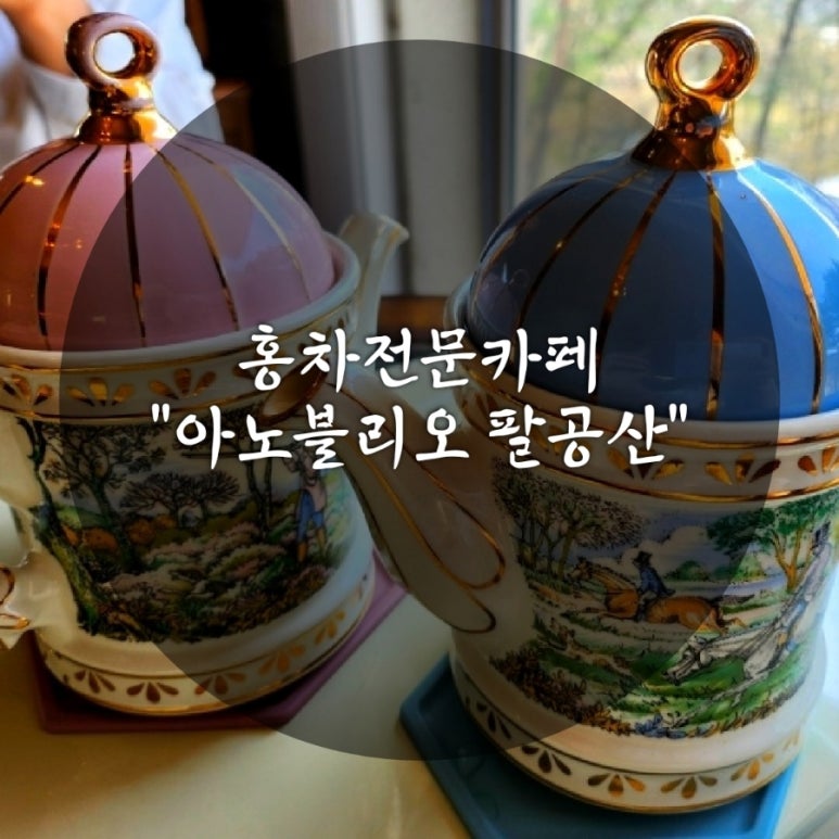 아노블리오 이미지